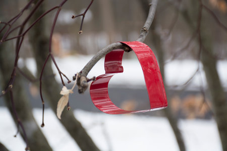 heart shaped red cookie cutter hanging on tree with winter snow background. Selective focus.の写真素材