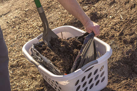 man with shovel loading soil in container. Farmer, worker man digging soil.