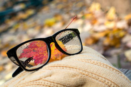 yellow sweater and glasses with wet drops and autumn fall leaves. Autumn or winter concept.の写真素材