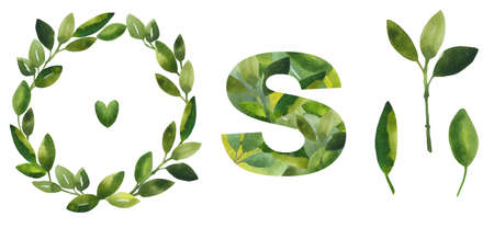 herbal watercolor frames. Hand painted branches, leaves on white background. Greenery wedding simple minimalist invitations, greeting card, watercolor painting with plant elements on a white background in modern style.の写真素材