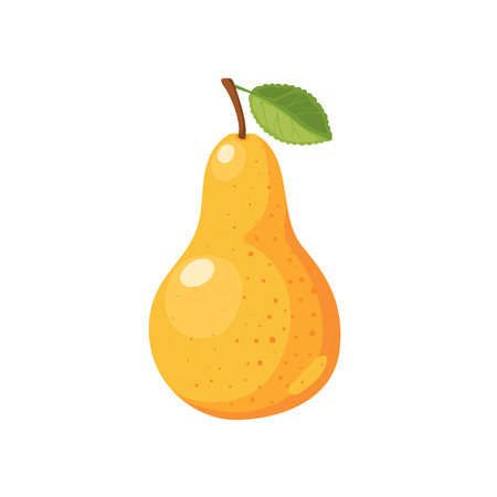 Ripe yellow pear isolated on white background.のイラスト素材