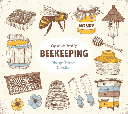Hand drawn apiary objects. Beekeeping inventory in sketch style.のイラスト素材