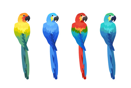Exotic tropical birds vector illustration isolated on white background. Colorful parrot ara set.のイラスト素材