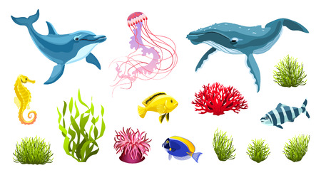 Undewater animals and plants collection. Sea life cartoon elements isolated on white background. Cartoon whale, dolphin, jellyfish with seaweeds and corals vector illustration.のイラスト素材