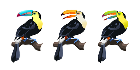 Exotic tropical birds vector illustration isolated on white background. Colorful toucan set.のイラスト素材