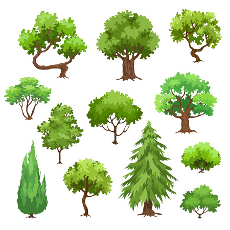 Green trees, pine and bushes vector illustration isolated on white background. Collection of  trees in cartoon style.のイラスト素材
