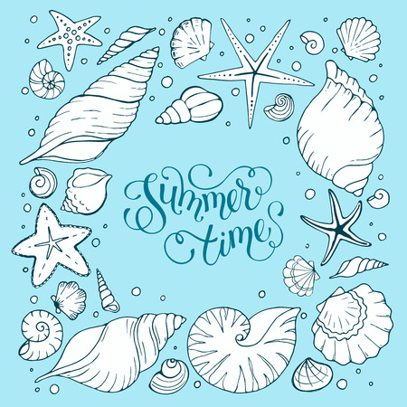 sea shells illustrationのイラスト素材