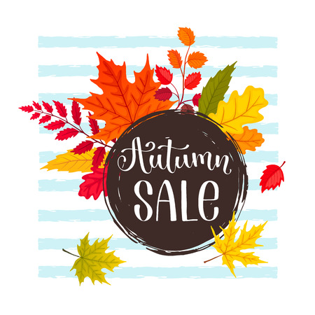 autumn sale design vector illustrationのイラスト素材