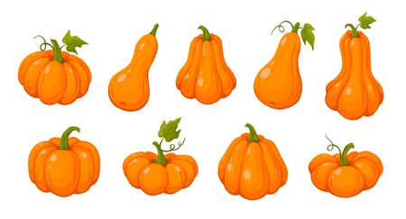 Coloful Pumpkins Set Vector Illustrationのイラスト素材