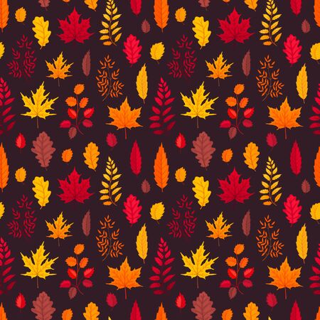 Flying autumn leaves on black background. Flalling maple and oak leaves seamless pattern.のイラスト素材
