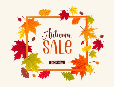 Autumn sale banner with bright colorful leaves. Autumn foliage vector illustration. Fall discount poster design. Square frame composition.のイラスト素材