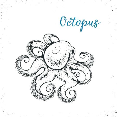 Octopus sketch icon isolated on white background. Hand drawn seafood . Vector illustration for restaurant menu designs etc.のイラスト素材