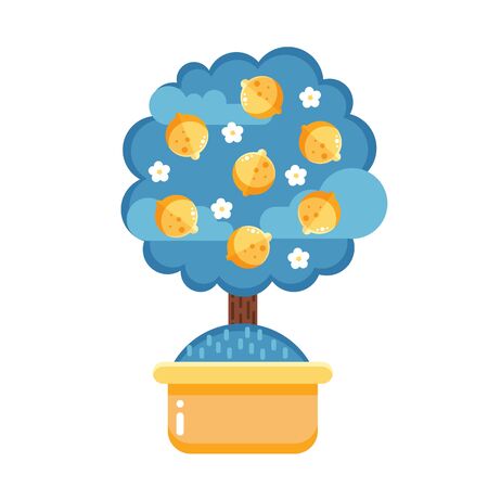 lemon treeのイラスト素材