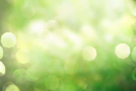 Abstract green spring nature backgroundの写真素材