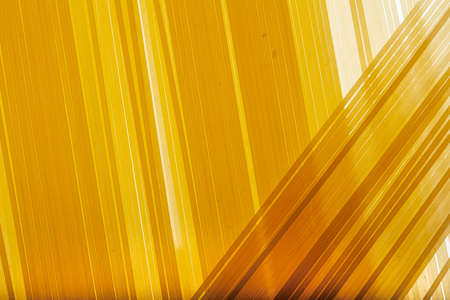 Pasta closeup backgroundの写真素材
