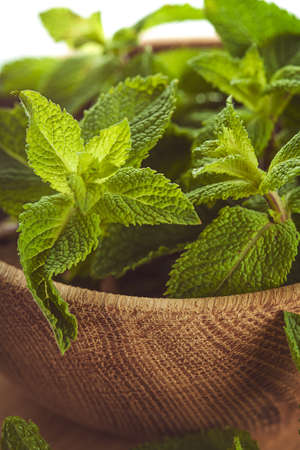 Mint leafs in wooden plateの写真素材