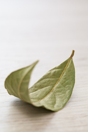 Bay leafの写真素材