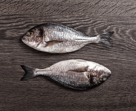 Fresh dorado fish on dark wooden backgroundの写真素材