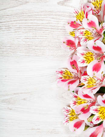 Pink flowers Alstroemeria on light wooden backgroundの写真素材