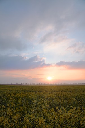 looking over a rural Polish landscapeの写真素材