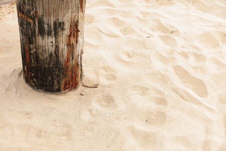 rows of piles on the sea beach - outdoorの写真素材