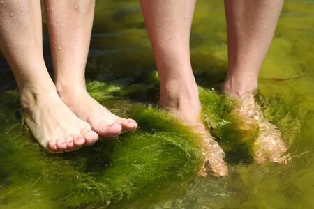 Human foot in the seaweed seaの写真素材