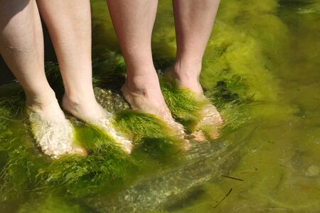 Human foot in the seaweed seaの写真素材