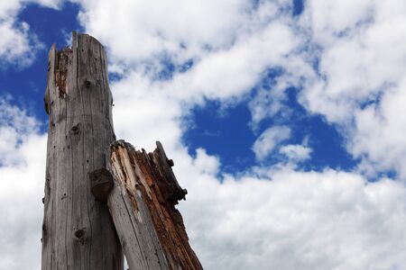 rows of piles on the clouds sky  - outdoorの写真素材