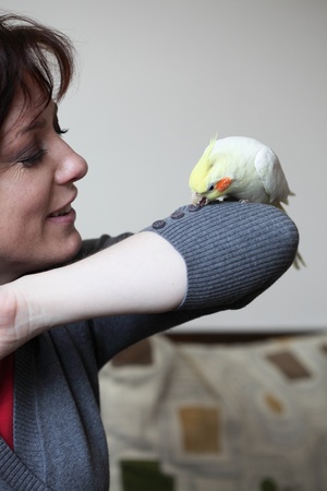 Cheeky Cockatiel parrot and womanの写真素材