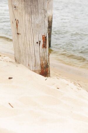rows of piles on the sea beach - outdoorの写真素材
