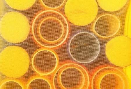 hair curlers pattern texture yellow backgroundの写真素材