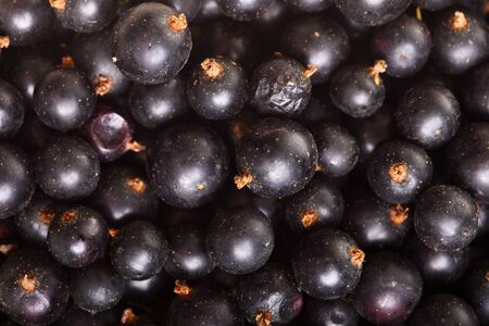 Heap of black currant. Textured background nature blackcurrant