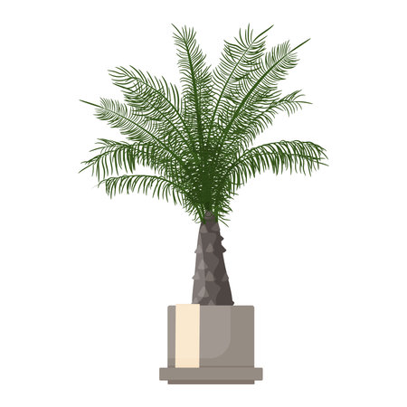 Phoenix dactylifera on a white background. cartoon vector illustration.のイラスト素材