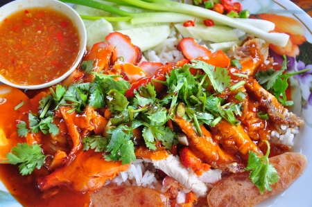 Red BBQ Pork and crispy pork With Rice の写真素材
