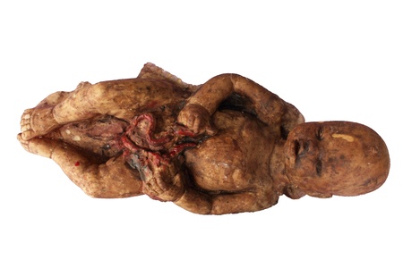 Model rubber of human fetus or embryoの写真素材