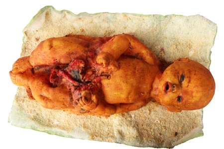 Model rubber of human fetus or embryo