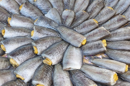 Dried salted snake skin gourami fish on Thailand marketの写真素材