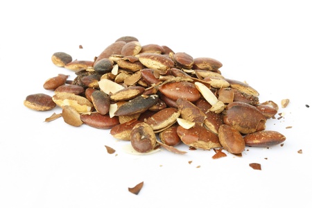 Roasted kayu seeds (Irvingia malayana Oliv.ex A. w. Benn.) isolated on white background