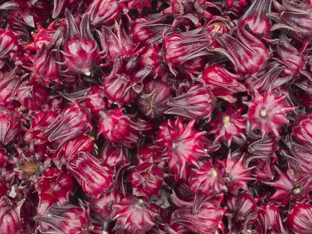 Roselle or Abelmoschus esculentus  Linn   Moenchの写真素材