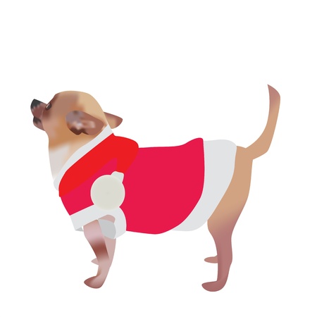 illustration of Christmas cartoon chihuahua のイラスト素材