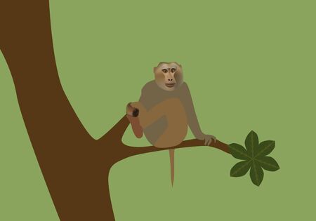 Vector illustration of monkey sitting on the branches of a treeのイラスト素材