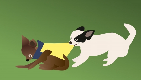 Vector and illustration of chihuahua dog bite grab clothes awayのイラスト素材