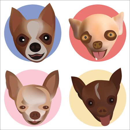 Vector and illustration of chihuahua headのイラスト素材