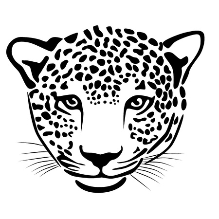 Illustration of leopard isolated on whiteのイラスト素材