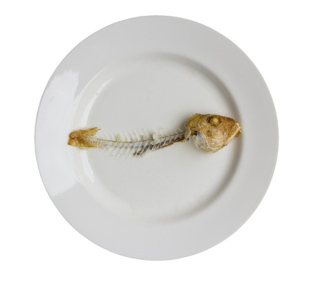 Fishbone on plate isolated on white background with clipping pathの写真素材