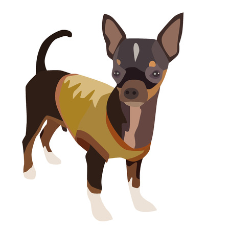 Vector illustration cute dog chihuahuaのイラスト素材