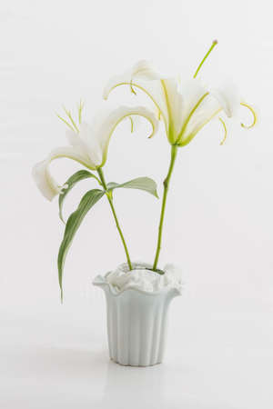 White lilies in white vase over white backgroundの写真素材