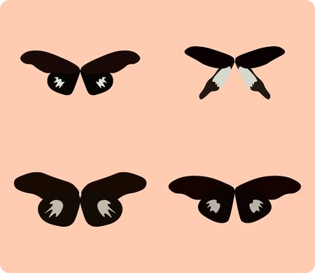 Vector illustration of butterfly isolated on pink backgroundのイラスト素材