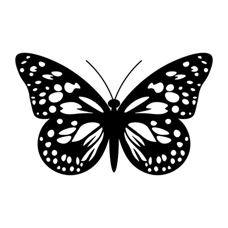 Beautiful black and white butterfly isolated on whiteのイラスト素材