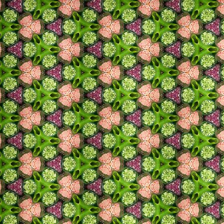 Abstract kaleidoscopic texture or background pattern designの写真素材